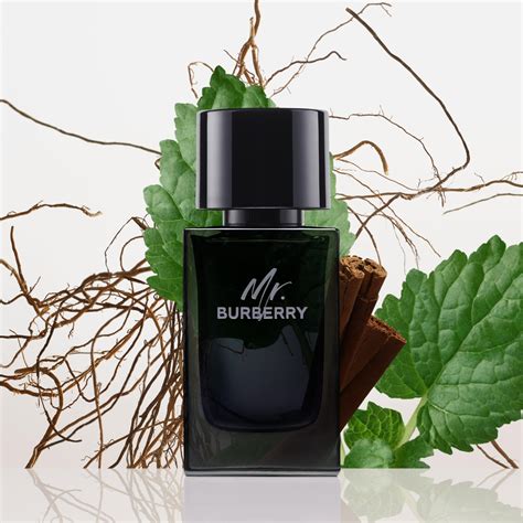 mr burberry 1.6|Mr. Burberry Eau de Parfum .